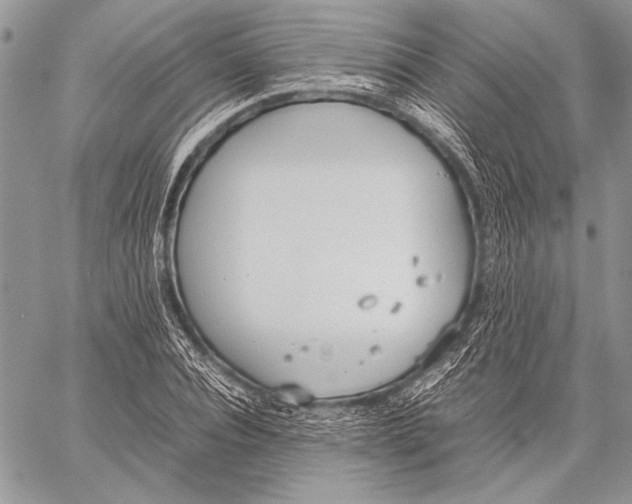 X0000058110928200510171240