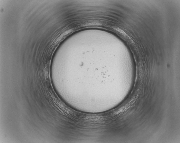 X0000058110929200510171240