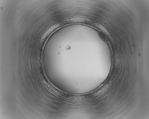 X0000058110930200510171240