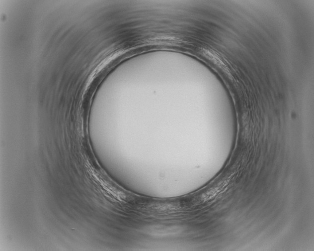 X0000058110931200510171240