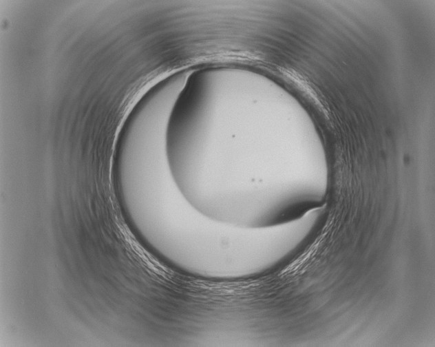 X0000058110932200510171240