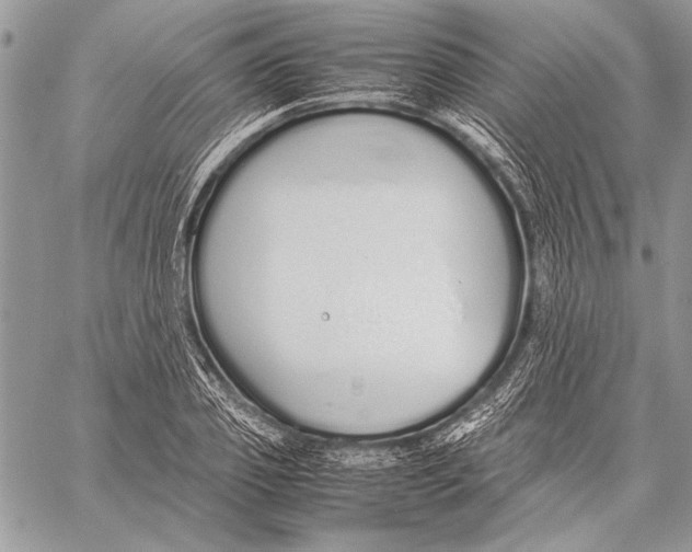 X0000058110933200510171240