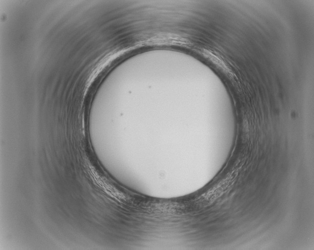 X0000058110934200510171240