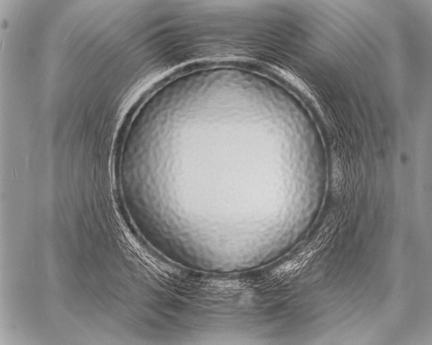 X0000058110935200510171240