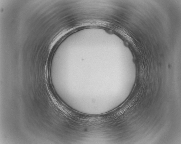 X0000058110936200510171240