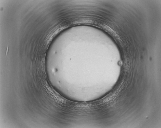 X0000058110937200510171240