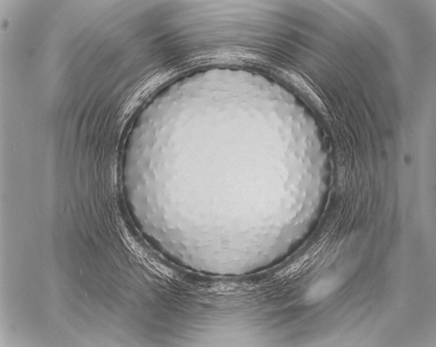 X0000058110938200510171240