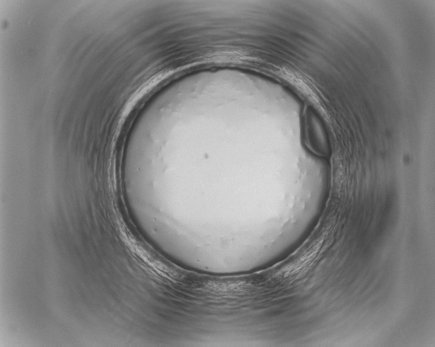 X0000058110939200510171240