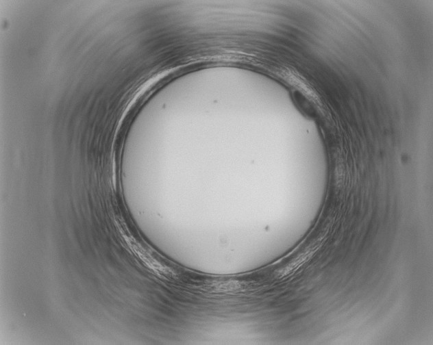 X0000058110940200510171240