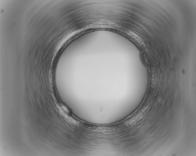 X0000058110942200510171241