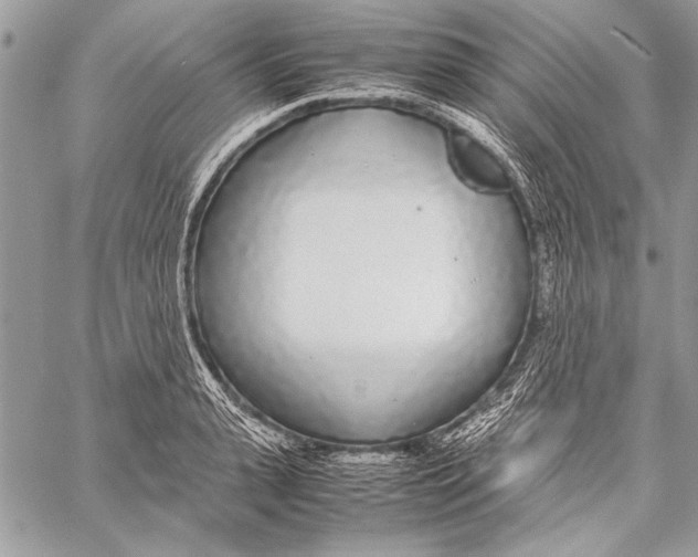 X0000058110943200510171241