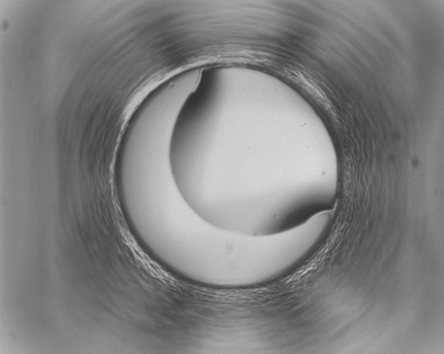 X0000058110944200510171241