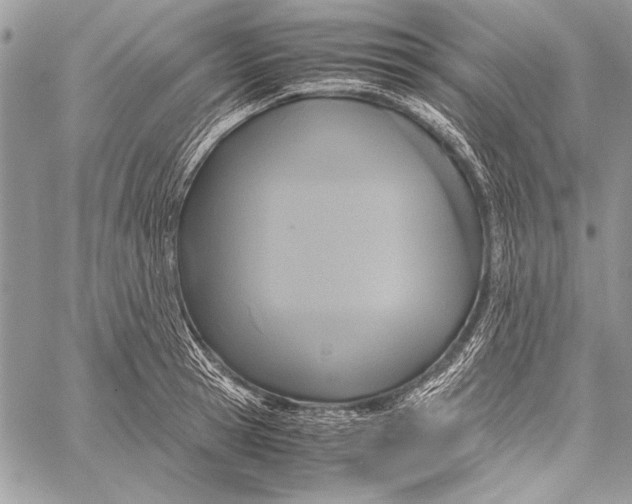 X0000058110945200510171241