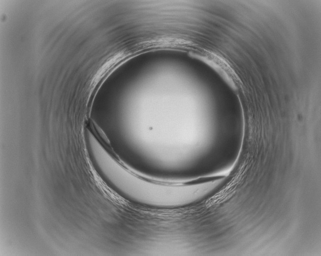 X0000058110946200510171241