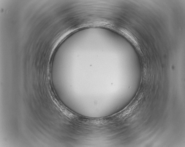 X0000058110948200510171241