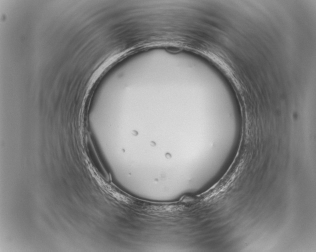 X0000058110949200510171241