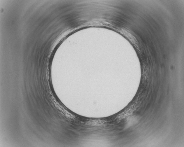 X0000058110950200510171241