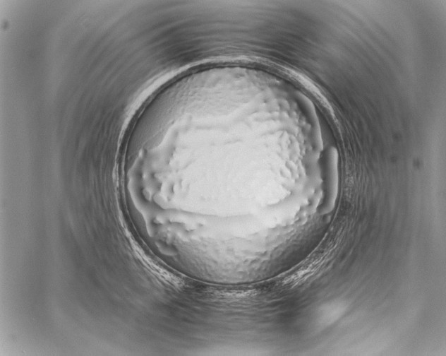 X0000058110951200510171241