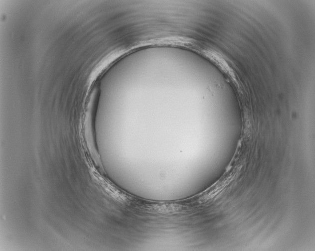 X0000058110952200510171241