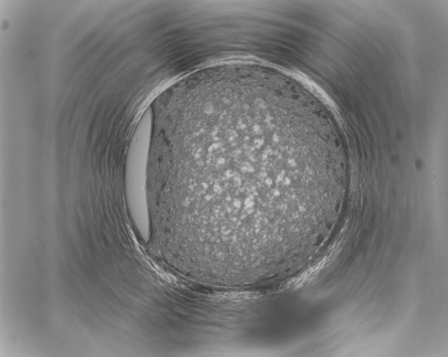 X0000058110953200510171241