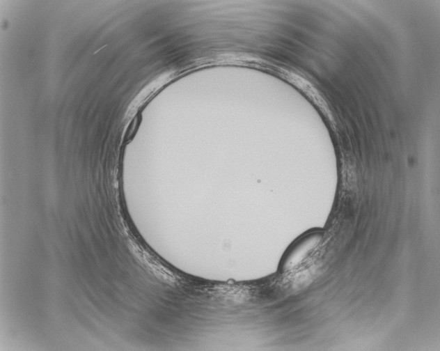 X0000058110954200510171241