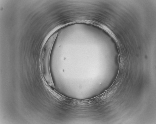 X0000058110955200510171241