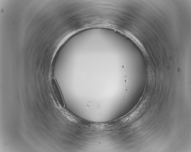 X0000058110956200510171241