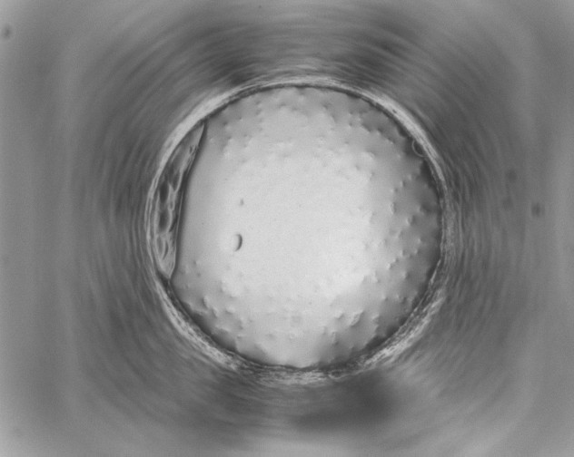 X0000058110957200510171241