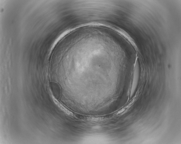 X0000058110958200510171241