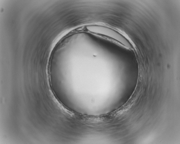 X0000058110959200510171241