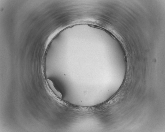 X0000058110960200510171241