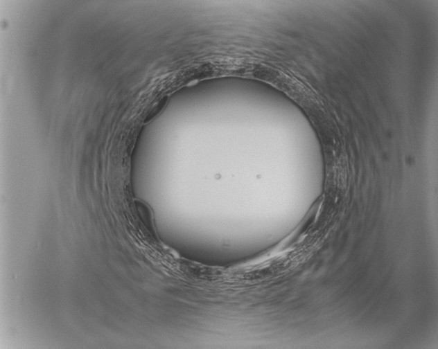 X0000058110961200510171240