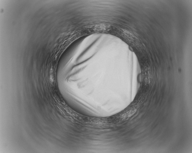 X0000058110962200510171240