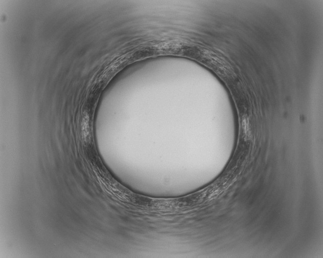 X0000058110963200510171240