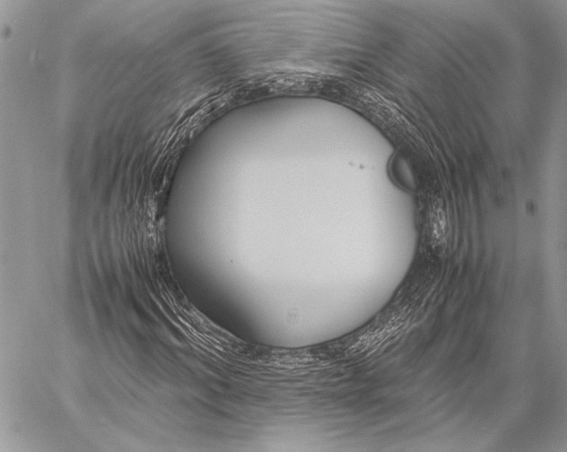 X0000058110964200510171240