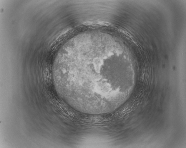 X0000058110966200510171240