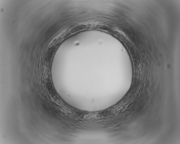 X0000058110967200510171240