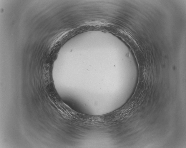 X0000058110968200510171240