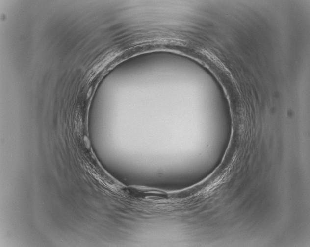 X0000058110969200510171240