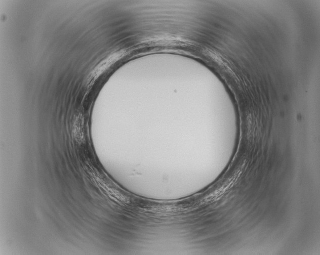 X0000058110970200510171240