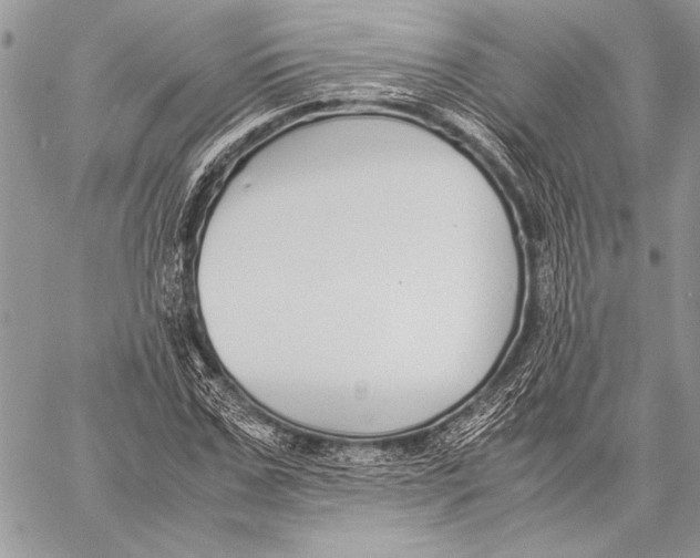 X0000058110971200510171240