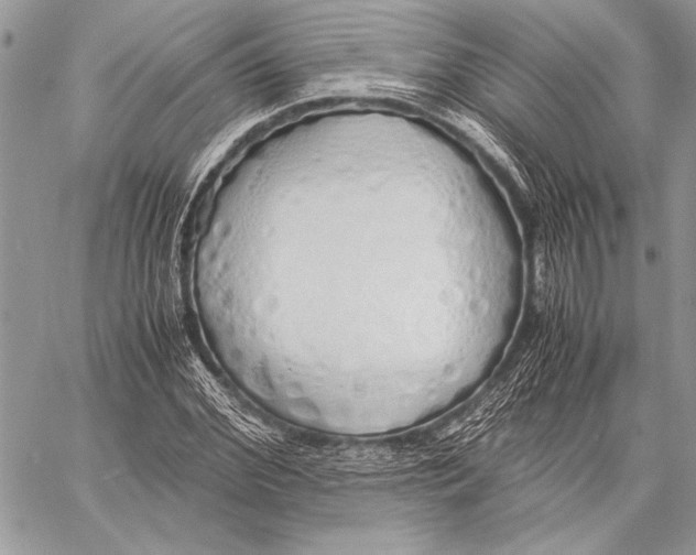 X0000058110972200510171240