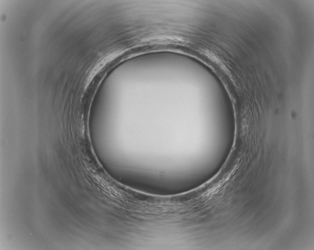 X0000058110973200510171240