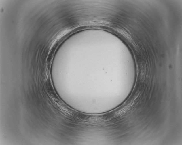 X0000058110974200510171240