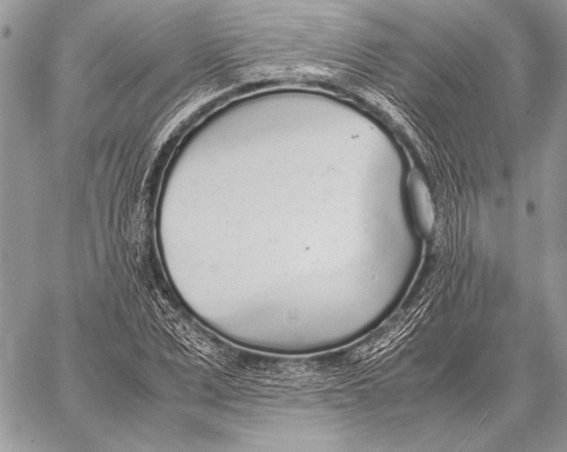 X0000058110975200510171240