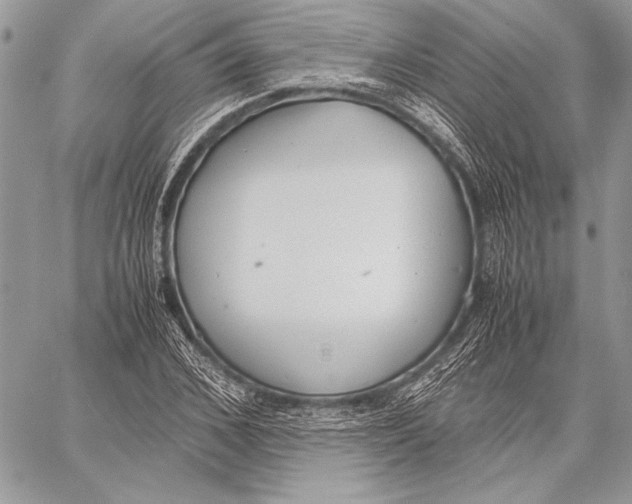 X0000058110976200510171240