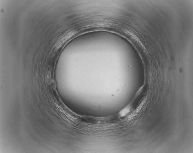 X0000058110977200510171240