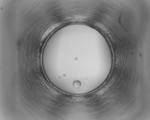 X0000058110978200510171240