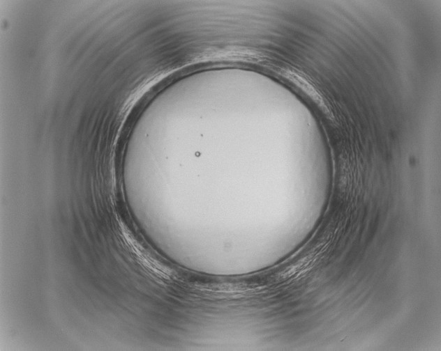 X0000058110980200510171240