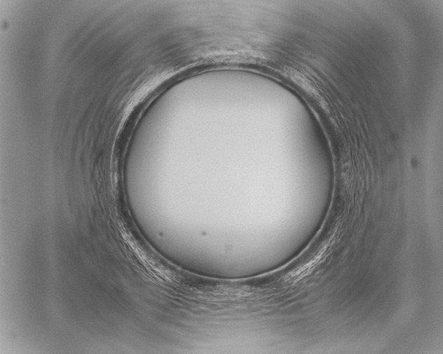 X0000058110981200510171240